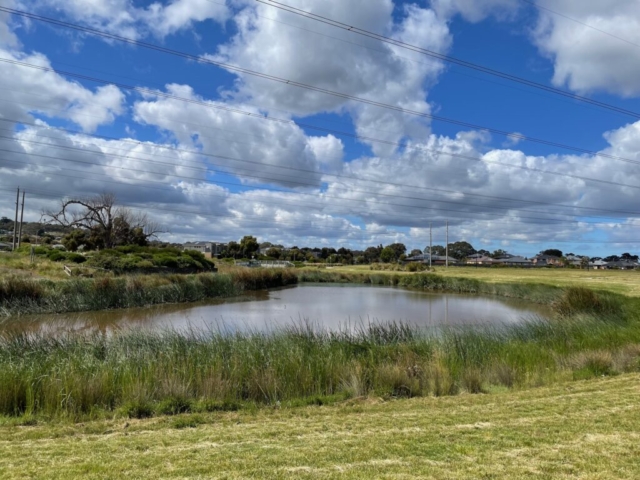 The nearby reserve has plenty of lakes