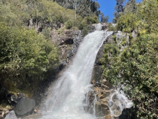 Steavenson Falls