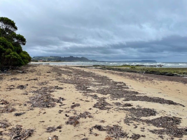 Further down the beach after wild weather