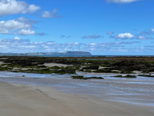 View of Table Cape from the beach