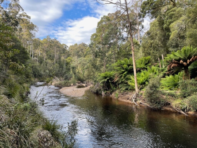 Another view of the river