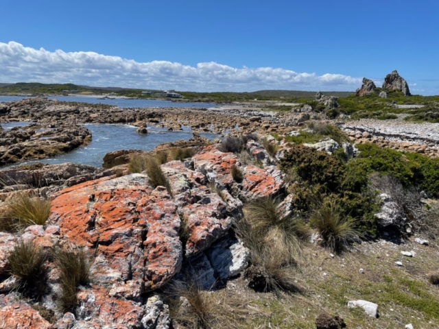 Red rocks on the coast