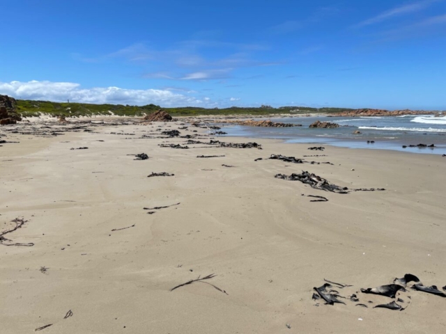 Deserted beach