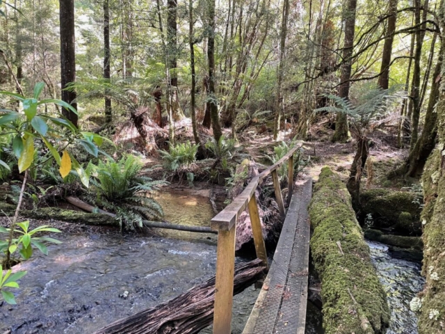 A handy bridge across a creek