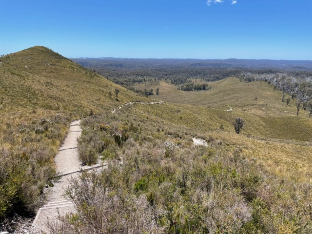 View from the trail in the Milkshake Hills