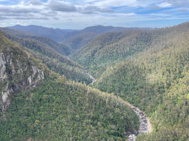 Another view of Leven Canyon