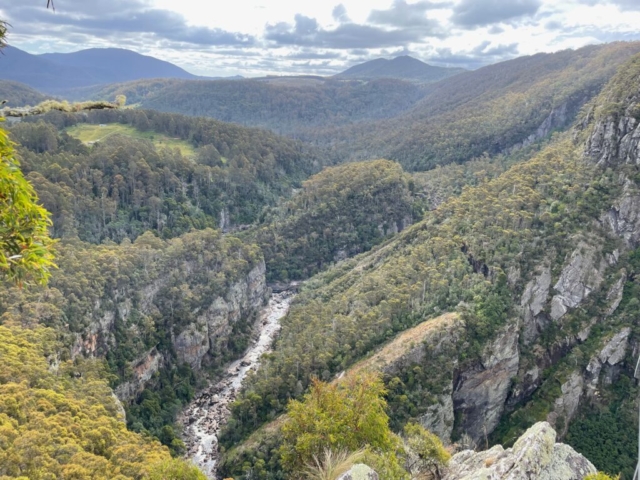 View of Leven Canyon