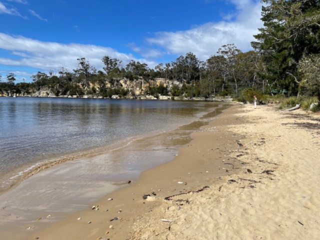 PB on the beach at Randalls Bay