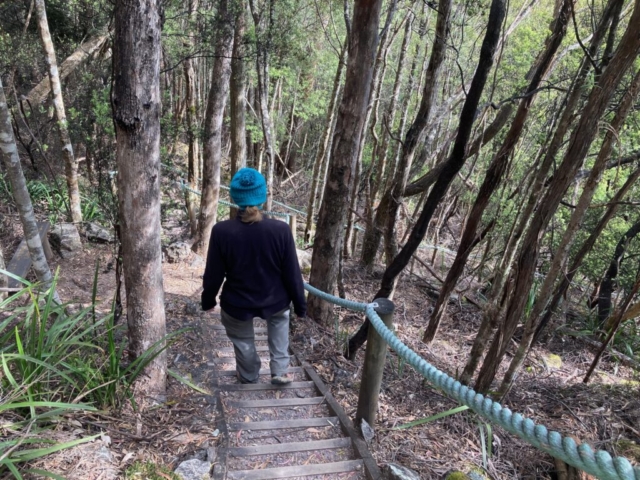 CC descends the steps to the lower lookout