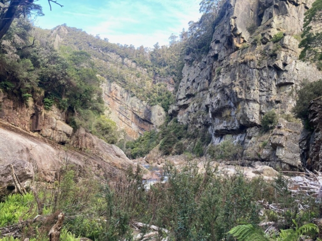 On the canyon floor