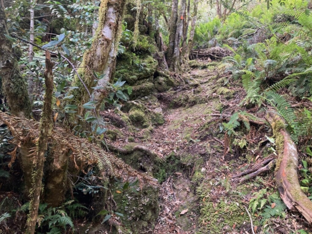 The trail on the canyon floor for 'experienced hikers only'