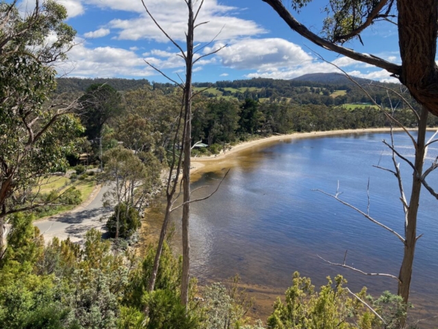 View from the Mickeys Beach track