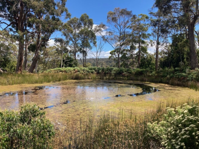 Our lunch spot in Echo Sugarloaf reserve