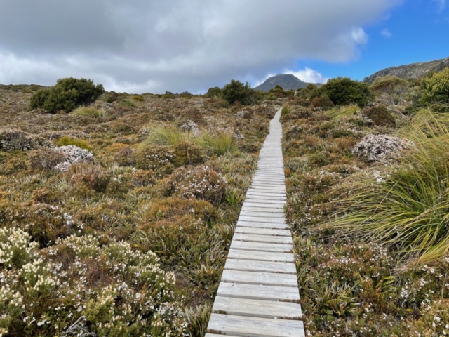 The first part of the trail is on a boardwalk to protect the vegetation