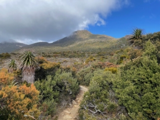 Hartz Peak looms in the distance Hartz Peak looms in the distance