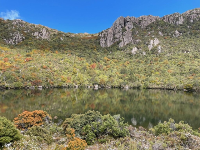 Ladies Tarn