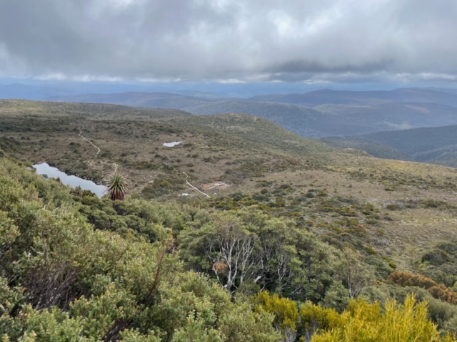 The second half of the trail is a fairly steep ascent