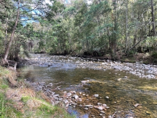 The river at Sandfly