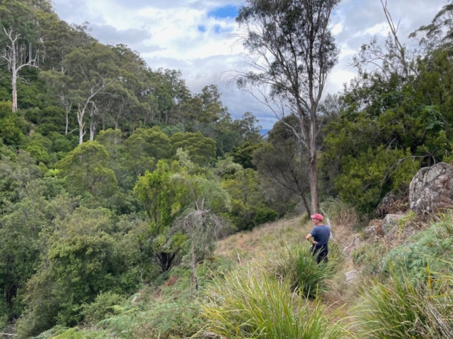 PB on the trail back through the forest