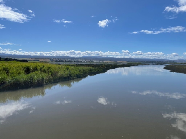 The Tamar River when the tide is higher