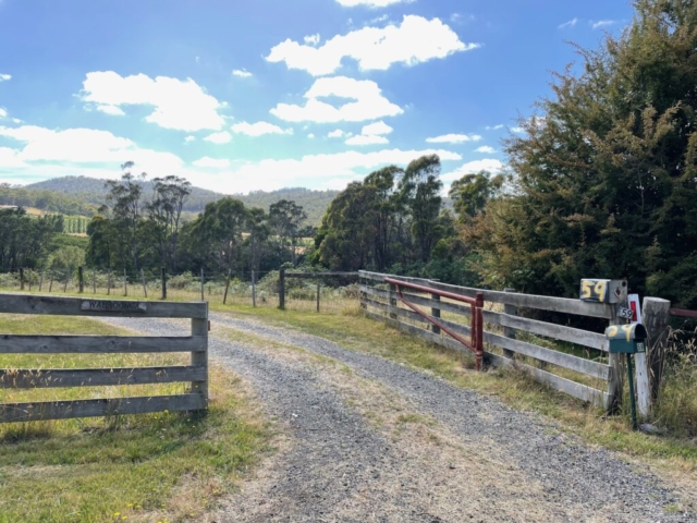 The driveway to our place in Hillwood