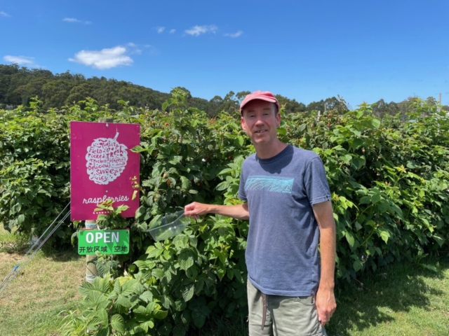 PB is ready to pick some raspberries