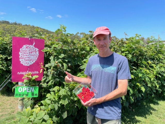 PB with a not-so-impressive haul of raspberries