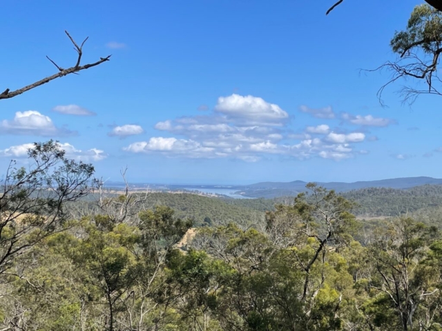 View from Mount Direction