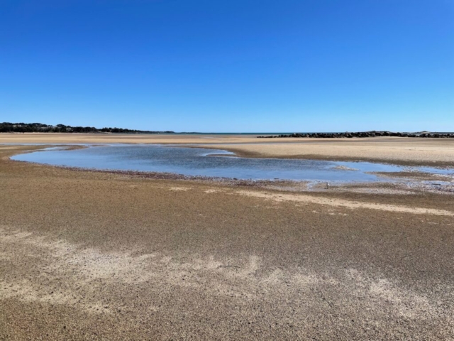 Beach at Port Sorell covered in crab holes