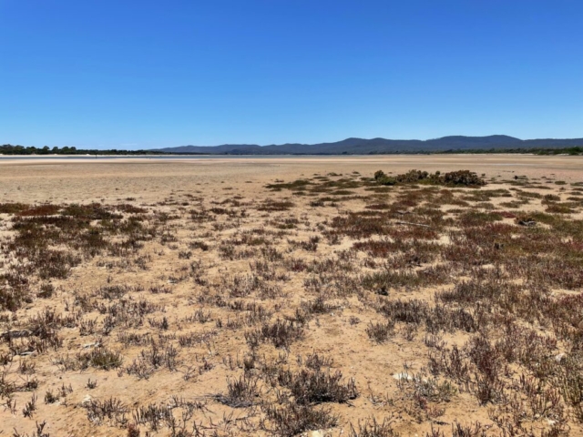 Looking out over the tidal sandflats