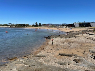 An extremely busy Mersey Bluff