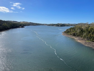 View over the Tamar from Batman Bridge