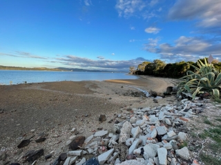 The coast at Beauty Point