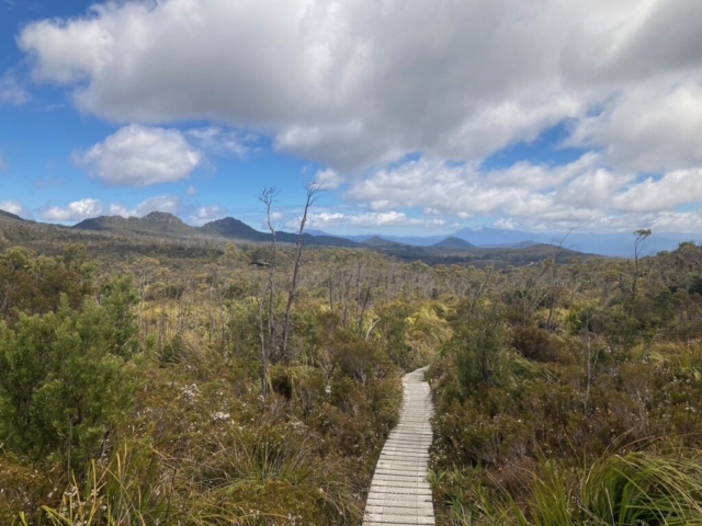 Looking back down from the lower part of the trail