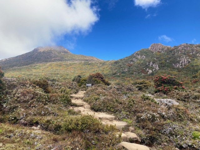 Another view of the trail