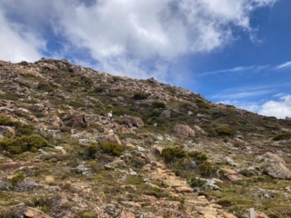 CC on the way back down CC on the way back down