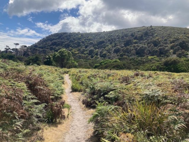 On the way to Archers Knob