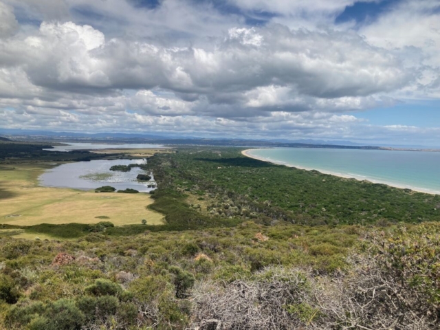 View from the top of Archers Knob