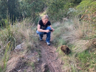 CC finds an echidna