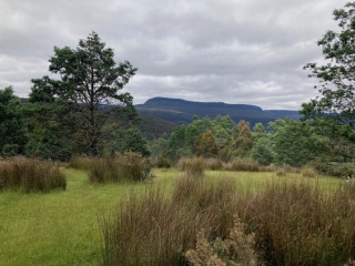 View from the start of the Quamby Bluff trail