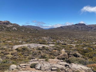 View of the walking trail