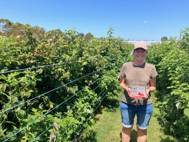 CC is doing most of the raspberry picking work