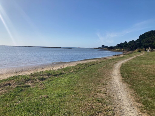 Coastal trail near George Town