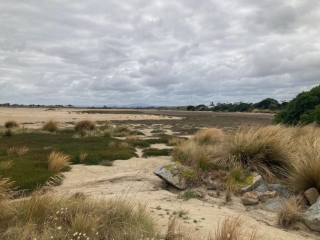 Near the start of the Bridport Walking Track