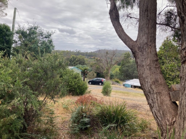 Looking down over our driveway