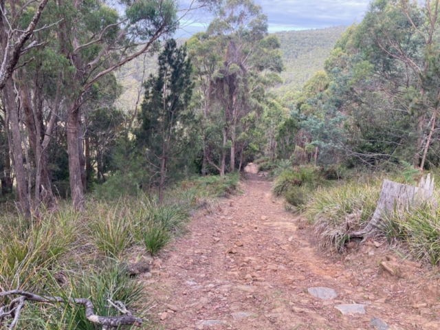 The trail widens and turns stoney