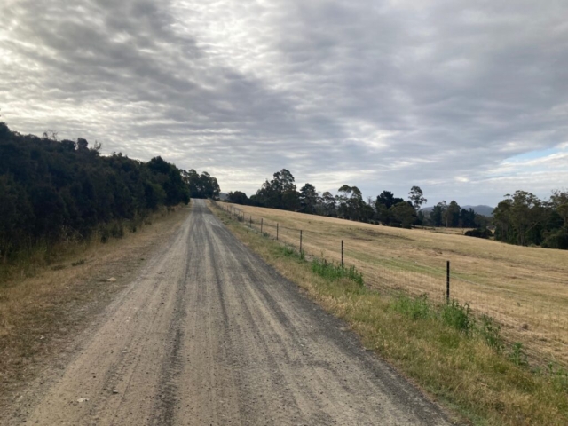 The road at the exit at the back of the reserve