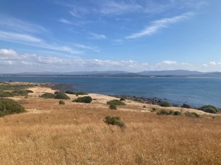 Looking out over the mouth of the River Tamar