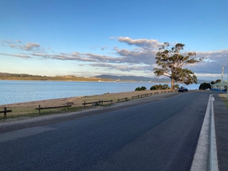 Parked under a tree at Beauty Point