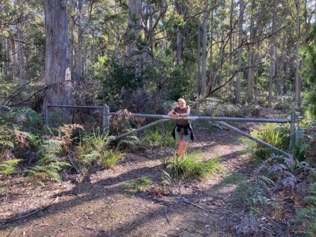 CC at the edge of the Mount Direction reserve